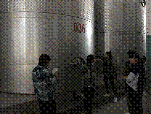 9c3413de3e554210ae822379dfcc68a2.gif